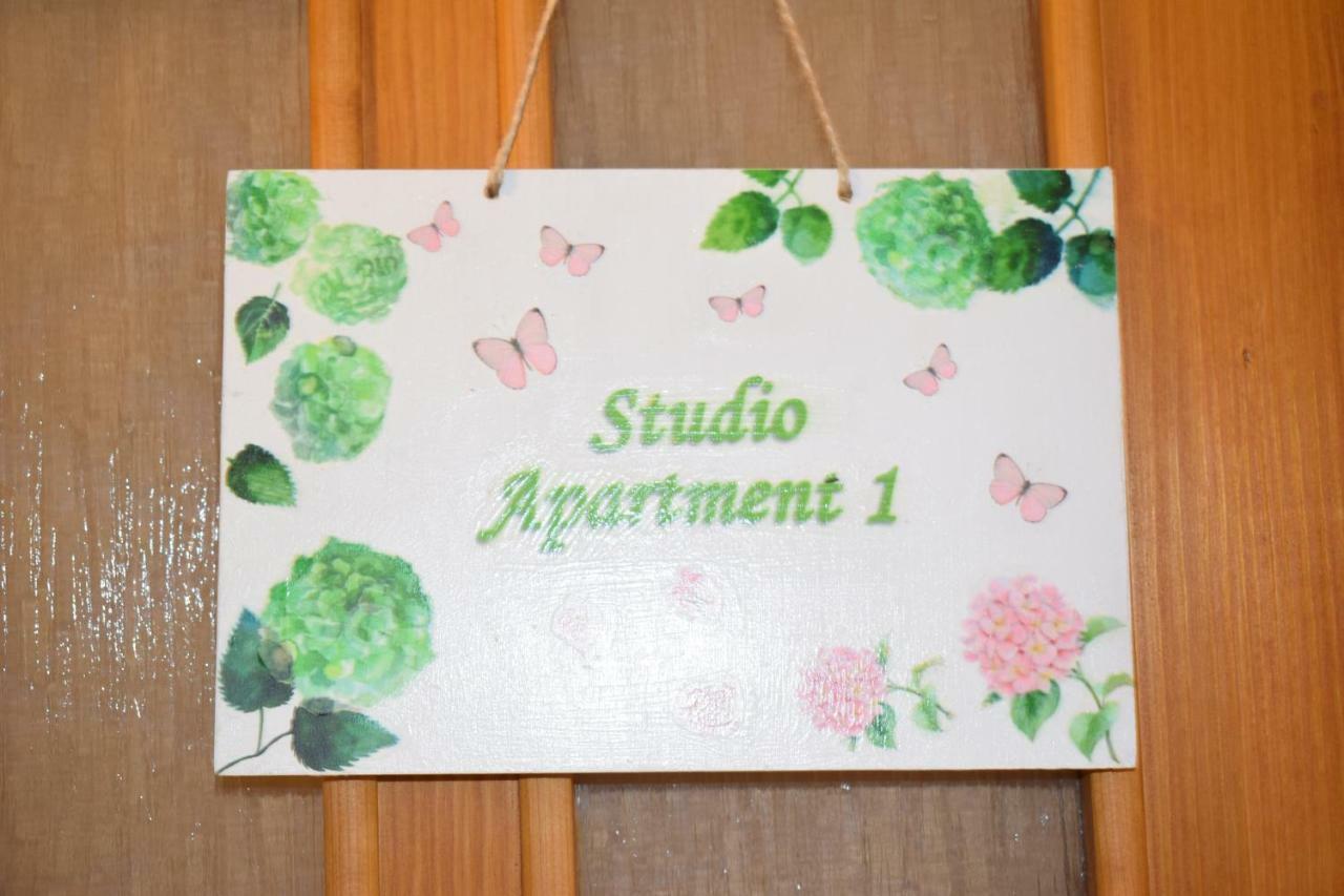 Sara Apartament